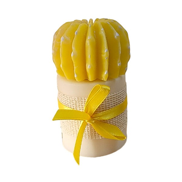 Macetita con biznaga de jabón